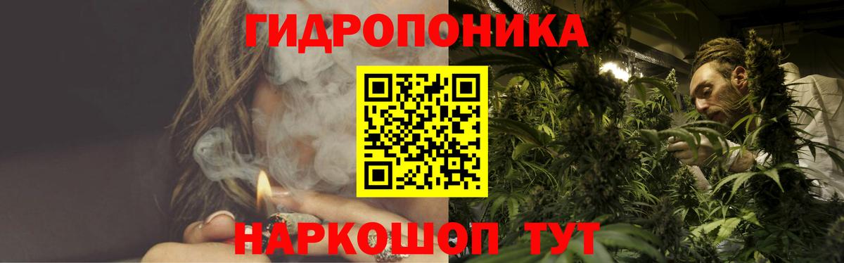 Шишки марихуана марихуана Выборг